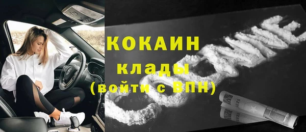 стаф Алексин