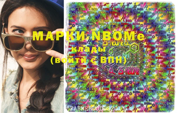 стаф Алексин