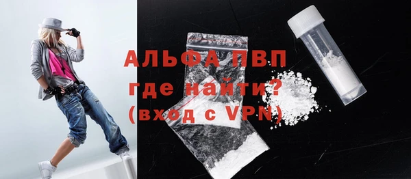 стаф Алексин