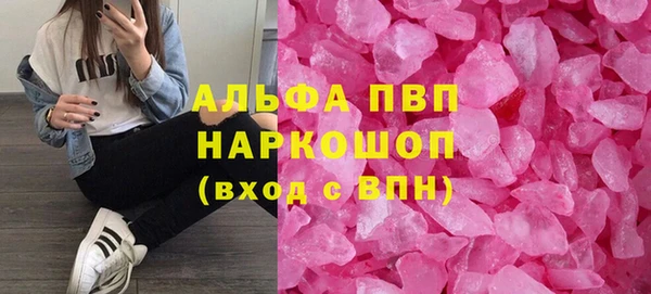 стаф Алексин